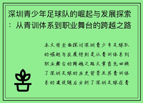 深圳青少年足球队的崛起与发展探索:从青训体系到职业舞台的跨越之路 深圳青少年足球队的崛起与发展探索:从青训体系到职业舞台的跨越之路